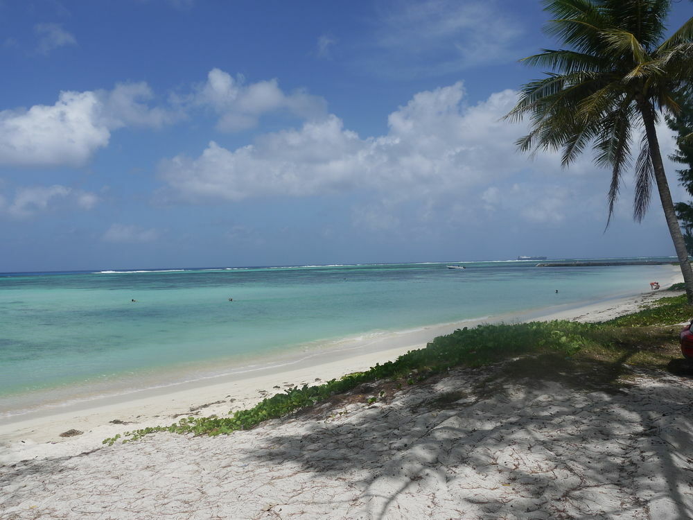 Aquarius Beach Tower Susupe Exteriér fotografie